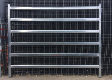 Galvanized Square Tube Livestock Fence Panel With 40X40MM For 1.5MM thickness Used in New Zealand