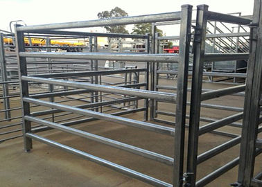 Galvanized Square Tube Livestock Fence Panel With 40X40MM For 1.5MM thickness Used in New Zealand