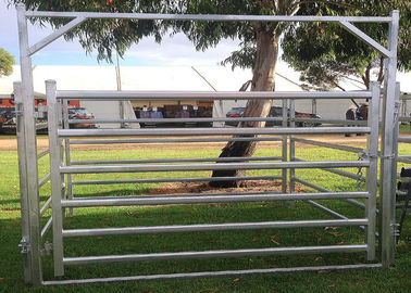 Galvanized Square Tube Livestock Fence Panel With 40X40MM For 1.5MM thickness Used in New Zealand