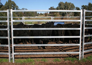 Heavy Duty Portable Sheep Yard Panels Carbon Steel 6 Rail Oval Tube 40X70MM