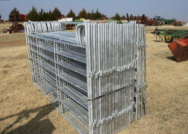 Green Pvc Coated Cattle Yard Panels 38MM Out Frame Pipe With 6 Rail