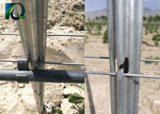 एंटी रस्ट 1.6-3.0MM वायर 54x30 मिमी वाइनयार्ड ट्रेली पोस्ट